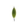 ADL Weedless Spoon Chartreuse