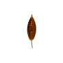ADL Weedless Copper Flash Spoon