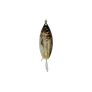 Golden Pilchard Weedless Willow Spoon