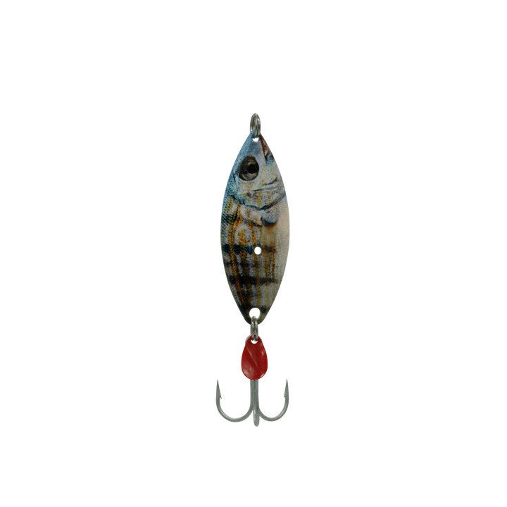 Pinfish Treble Willow Spoon