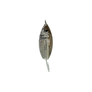 White Pilchard Weedless Willow Spoon