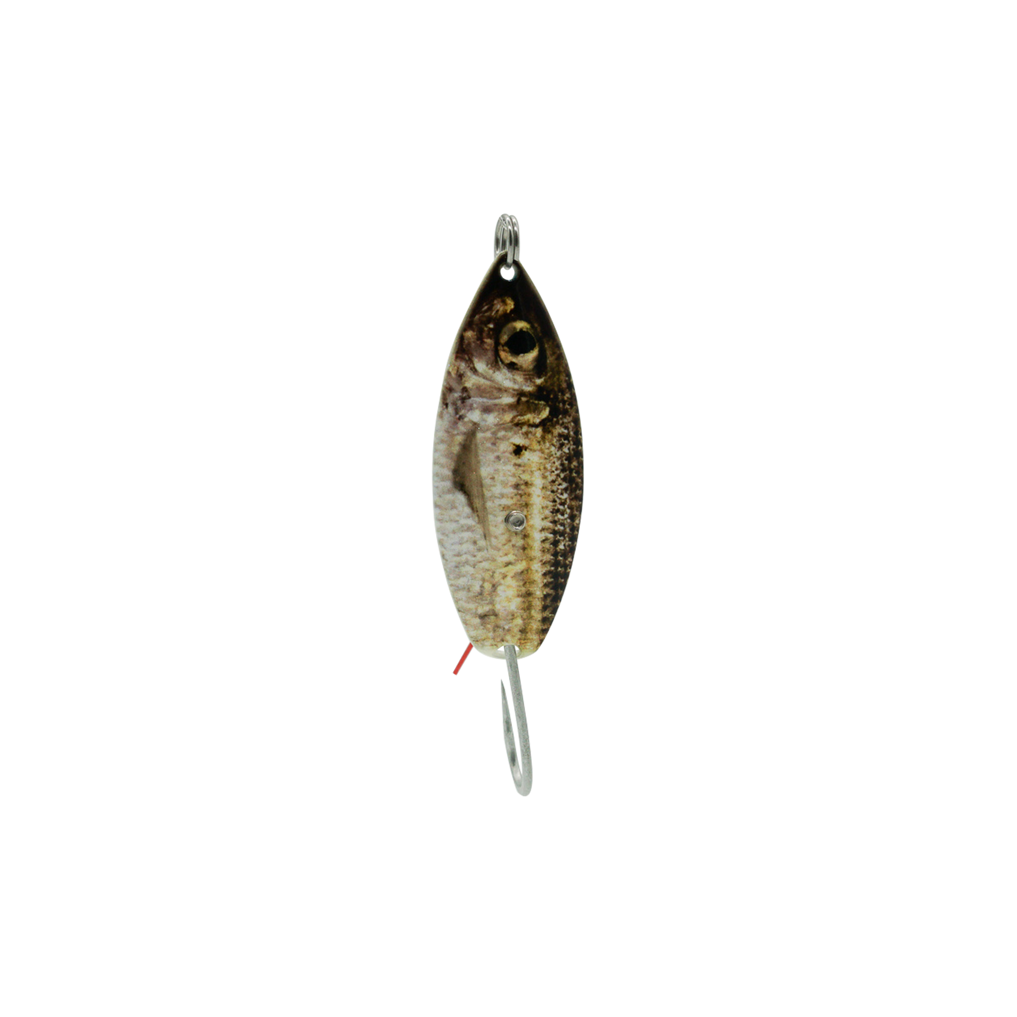 dream fish hook lure Ahi Lifelike baitfish look Tiger Bomb Wet Dream Plopper