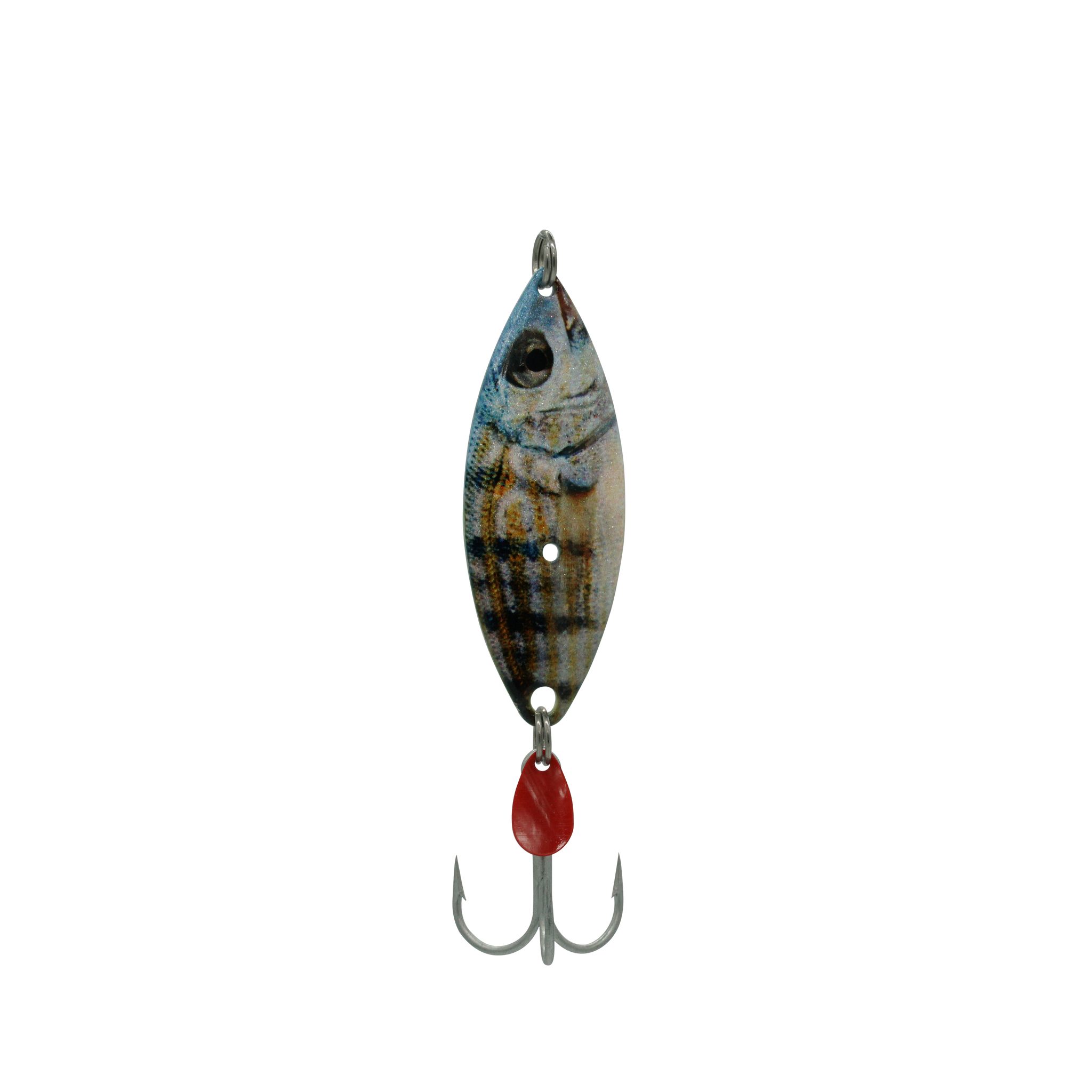 Pinfish Treble Willow Spoon – Aqua Dream Living